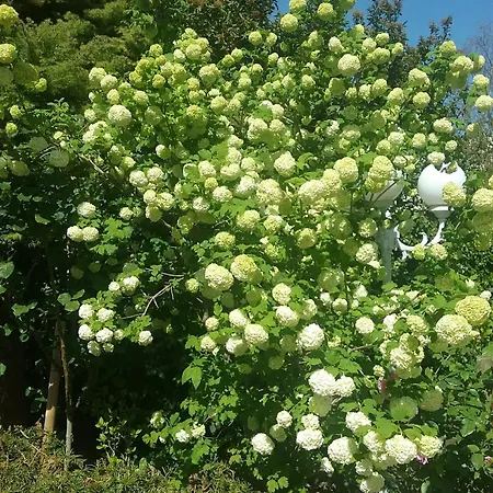 La Roseraie Kwatera prywatna